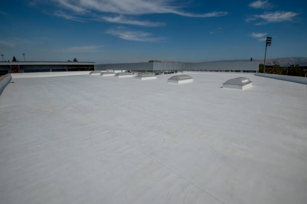 Best EPDM Roofing  in Seward, AK