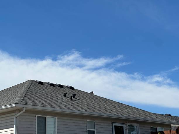 Best Wood Shake Roofing  in Seward, AK